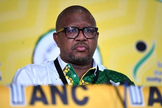 Mbalula brings fresh energy to declining ANC | News24