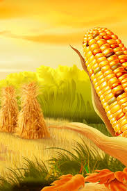 Download Corn Fields Iphone Wallpaper Mobile Wallpapers Mobile Fun Iphone Wallpaper Mobile Wallpaper Corn