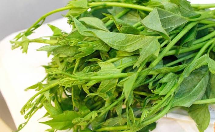 Rau khoai lang cực tốt nhưng cũng cực độc, ăn theo cách này bổ ngang nhân  sâm