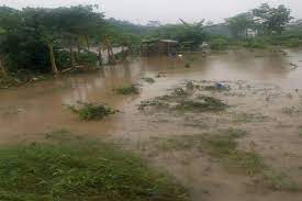 Banjir bandang juga terjadi di dusun barurejo, desa krisik, kecamatan gandusari, kabupaten blitar, jawa timur, kemarin (30/1). Banjir Bandang Di Blitar Putuskan Jembatan Dan Tenggelamkan Sawah