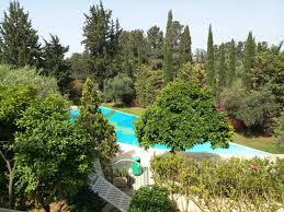 Pin By Martine Tsabary On Paphos Cyprus Plants Paphos Garden