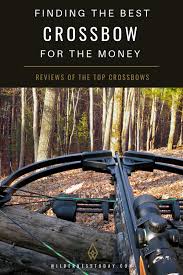 Best Crossbows For The Money 2020 Reviews Crossbow Crossbow Hunting Hunting
