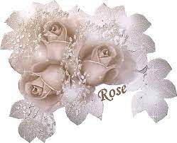 BIAŁE I KOLOROWE - GALERIA - RÓŻE - sorelkaPL - Chomikuj.pl, Strona 3