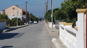 Image result for Sorindeia rhodesica