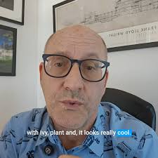 Did you know? 🌿 Ivy