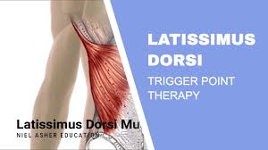 Strong lats help you use your arms to pull your body weight up. Latissimus Dorsi Trigger Points Youtube