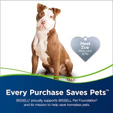 Bissell Cleanview Swivel Pet Upright Bagless Vacuum Cleaner Green 2252 Belt Mua Bissell Cleanview Swivel Pet Upright Bagless Vacuum Cleaner Green 2252 Từ Amazon Mỹ Chuyen Mục May Hut Bụi Luxstore Com