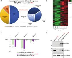 tgap2x 5 depletion alters the expression of multiple