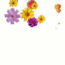 Download this beautiful orange rose waterfall animation for your desktop computers, iphone, ipad or other mobile devices, or share. Spring Time Flowers Falling Flowers Gif Springtimeflowers Fallingflowers Happyspring Discover Share Gifs Flowers Gif Flowers Trippy Gif