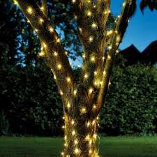 Pin On Garden Ideas