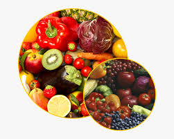 Viktige næringsstoffer umettet fett (energigivende) mettet fett (energigivende) karbohydrater (energigivende) proteiner (energigivende) vitamin a vitamin b vitamin. Hva Er Sunt Kosthold Hd Png Download Transparent Png Image Pngitem