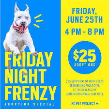 Looking for a puppy or dog in kansas city, missouri? Help A Pet Find Its Forever Home At Kc Pet Project S Friday Night Frenzy Adoption Special