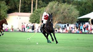 8 800 300 71 60. Sports And Clubs Visit Abu Dhabi