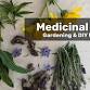 2nd  Medicinal Herbs Workshop with Emily & Carrie-Ann event image