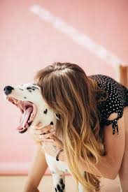 Comment Faire Vomir Son Chien