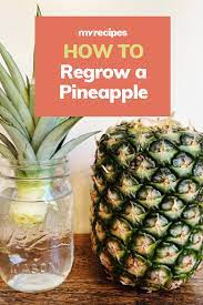 How To Grow A Pineapple From A Pineapple Pineapple Pineapple Planting Growing Pineapple