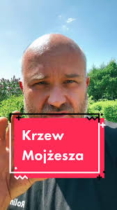 Pawel Lukasz Sosnowski