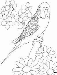 Color online with this game to color animals coloring pages and you will be able to share and to create your own gallery online. Pin On Birds Coloring Pages