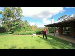 Maybe you would like to learn more about one of these? 6 8 Parma Court Mt Nathan By John Mayer And Nicole Palmer Youtube