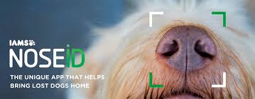 Find local humane shelters, no kill shelters, animal shelters and animal adoption centers in our green resources guide. Noseid App Helps Reunite Lost Dogs With Their Owners Using Photos Of Their Noses Digital Photography Review