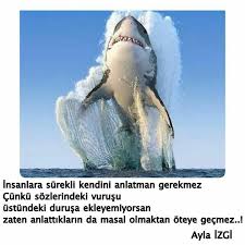 ayse atici adli kullanicinin guzel sozler panosundaki pin national geographic resimler hayvanlar