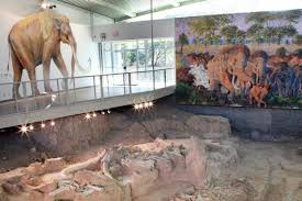 Waco Mammoth National Monument City of Waco