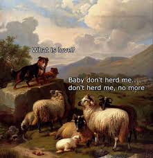 Baby Don T Herd Me Classical Art Memes Funny Pictures With Captions Funny Art