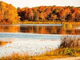 Vẻ đẹp mùa thu ở nước Mỹ - Đầu Tư Định Cư Mỹ, Canada, Châu Âu