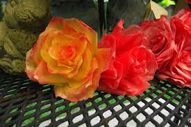 Click to send christine a smile. Paper Blooms Lauren Finley S Blog