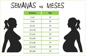 Además de bebés finitos y delgados, a más tardar a partir de ahora también nos encontramos con pequeños pesos pesados. Pin En Margarita
