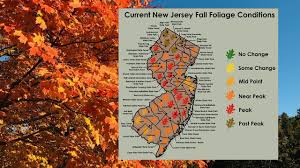 Peak Fall Foliage Weekend Arrives N J Heres A Map Of The