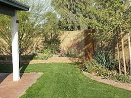 The greater the diversity, the greater the chances that each microclimate in your yard will have a grass variety that can thrive in there. Overseeding Winter Lawn City Of Chandler