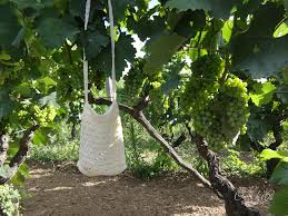 Ovillo de Eli: julio 2020