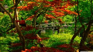 Find many great new & used options and get the best deals for japanese beautiful garden picture book at the best online prices at ebay! Japanese Garden Wallpapers Top Free Japanese Garden Backgrounds Wallpaperaccess