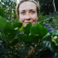 100+ "Denby" profiles