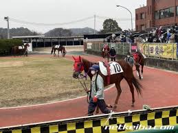 名無しさん＠実況で競馬板アウト 2019/02/15 (金) 13:40:53.59 id:hncx7ejo0. ãƒœã‚¯ã‚¤ã‚±ãƒ¡ãƒ³ ç«¶èµ°é¦¬ãƒ‡ãƒ¼ã‚¿ Netkeiba Com