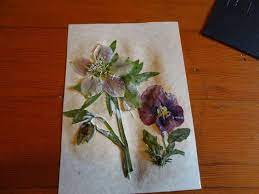 We did not find results for: Pressed Flowers With Mod Podge Pressed Flowers Framed Pressed Flowers Mod Podge