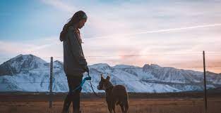 Autre prestataire de services déjà localement implantée dans la commune depuis plusieurs années avec marianne de «taximo» joignable au 06 42 53 12 42 pour gardiennages et accompagnements des animaux chez le vétérinaire, courriel : Faire Garder Son Animal Chez Soi La Garde En Visite A Domicile