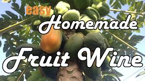 Simple homemade fruit juice cider. How To Make Fruit Wine At Home Easy Cheap Youtube