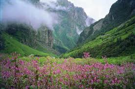 The valley of flowers distance from delhi is 512.5 km. Valley Of Flowers Tour 6565 Holdiay Packages To New Delhi Haridwar Auli Hemkund Sahib Badrinath