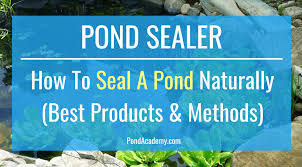 However, this can be dangerous to children and ineffective against birds of prey. Pond Sealer How To Seal A Pond Naturally Best Products Methods