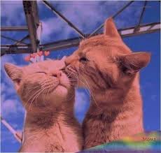  Tina Agustin Agustintin1208 Profil Pinterest