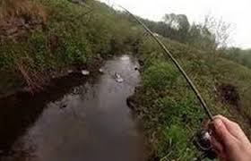Pecheado stages de pêche enfant & adolescent. La Peche Du Brochet Au Vif 5 Techniques Peu Connues