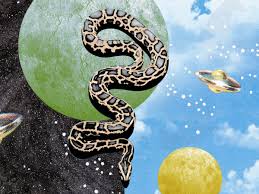 Play snake games at y8.com. What Do Dreams About Snakes Mean And Why You Re Having Them Glamour
