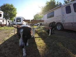 Maybe you would like to learn more about one of these? Red Trail Rv Park Looking Down The Road Between Sites Picture Of Red Trail Campground Medora Tripadvisor