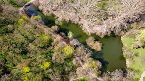 Zámocký park Hlohovec