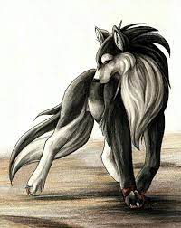 The black and white wolf anime love story on hold. Anime Black And White Wolf Art Anime Wallpapers