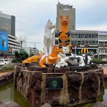 Gatos, estatuas y museos: cómo Kuching se convirtió en una ciudad obsesionada con los felinos - Infobae
