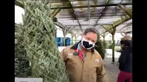 Early european pagans would use evergreen branches to brighten up their homes during dreary winter month; Atavpgvg Njxm