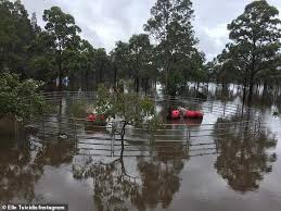 Charles cornwallis tried to feint gen. Weather Tragic Photos Show Horses Stranded In Rising Flood Waters On A Crescent Head Nsw Property Salten News